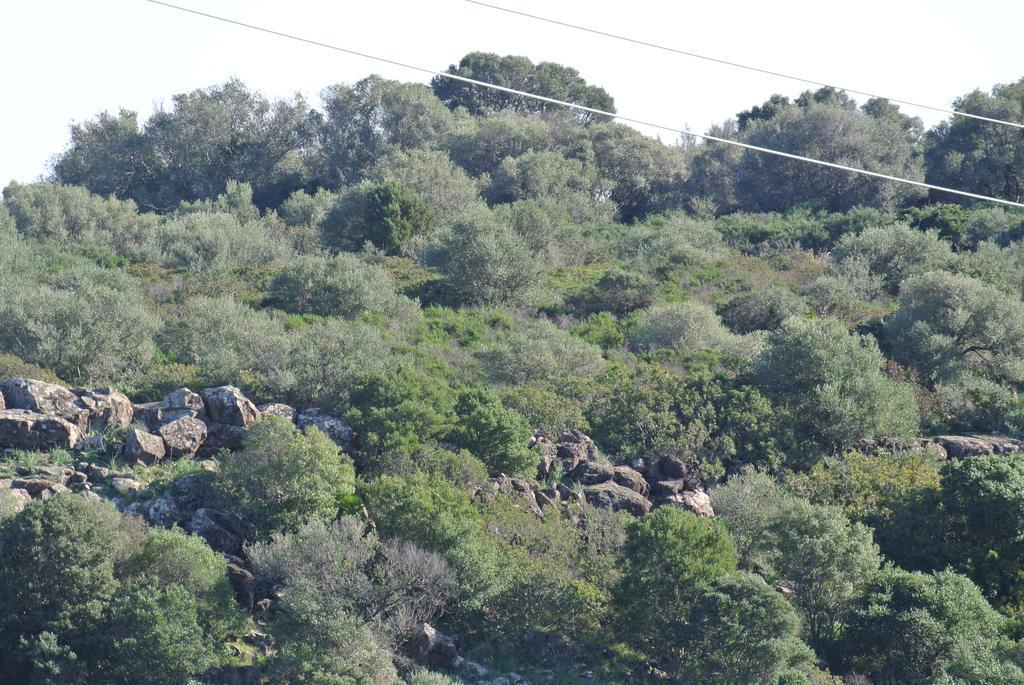 Casa La Vela Villa Cala Liberotto Szoba fotó